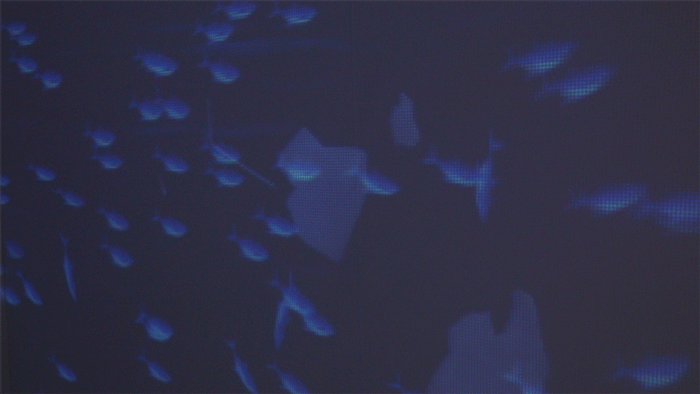 蓝色海洋，净塑自然沉浸式艺术展(图16)
