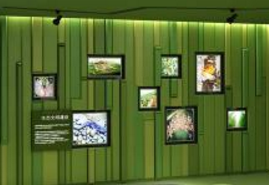 展厅设计 展厅设计规划如何突出重点呢?(图1)