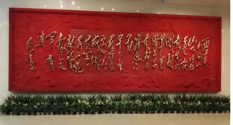 【建党100周年】革命圣地,光耀大地!(图14)